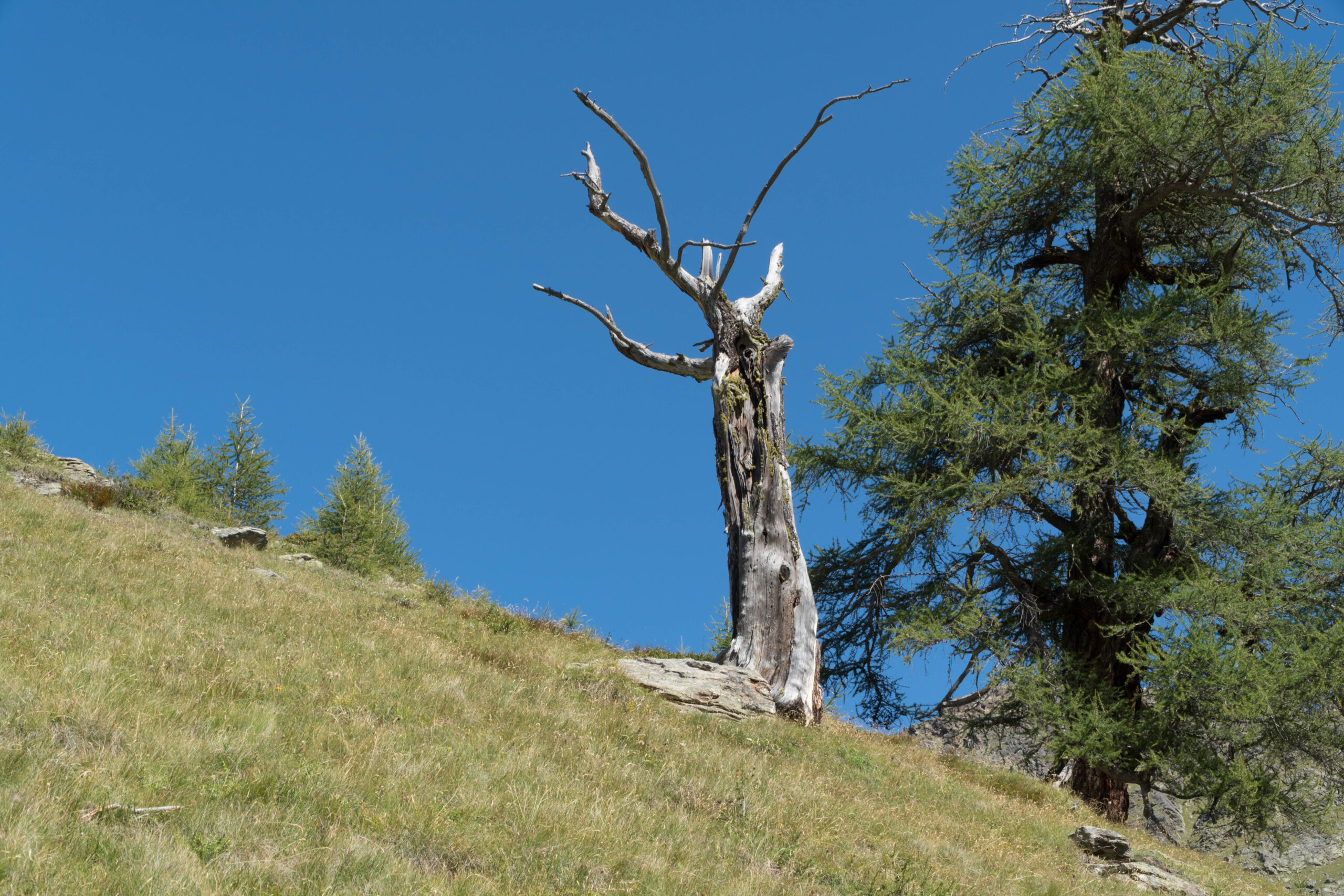 2017-08-23_11-04-03 Saas-Fee-18